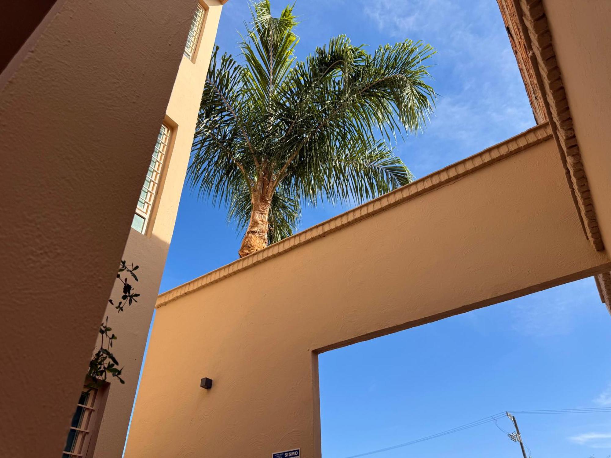 Villa La Palma Hotel Tequila Ngoại thất bức ảnh