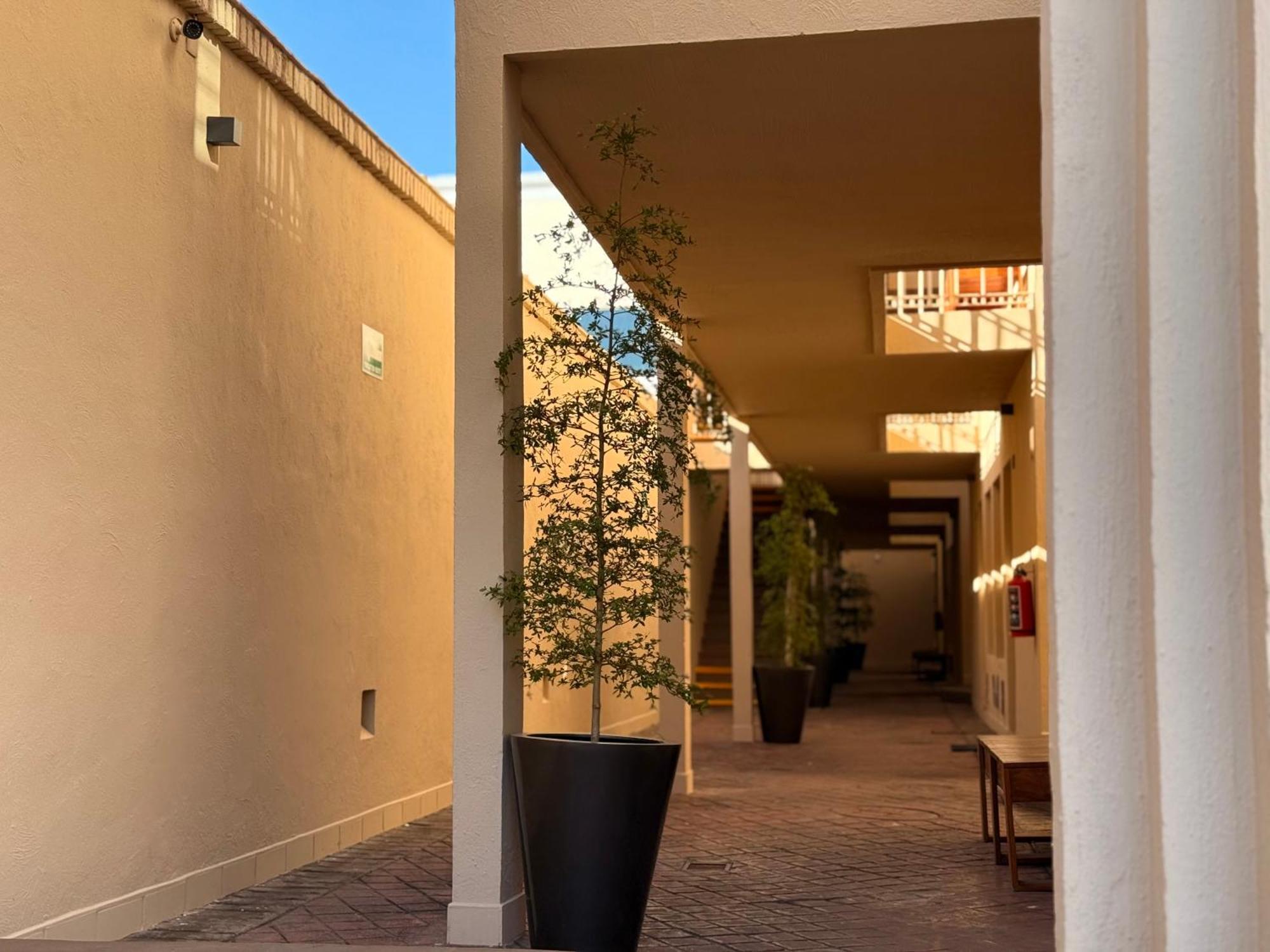 Villa La Palma Hotel Tequila Ngoại thất bức ảnh