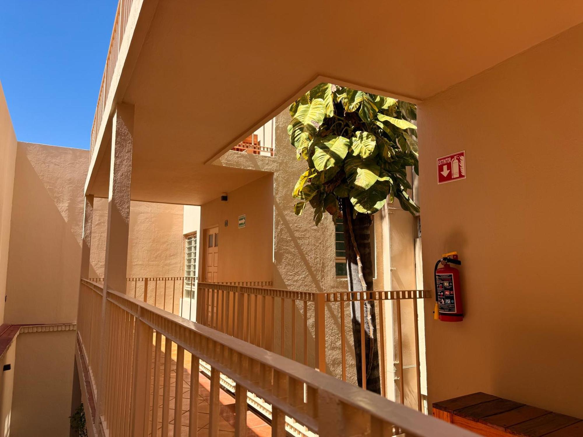 Villa La Palma Hotel Tequila Ngoại thất bức ảnh